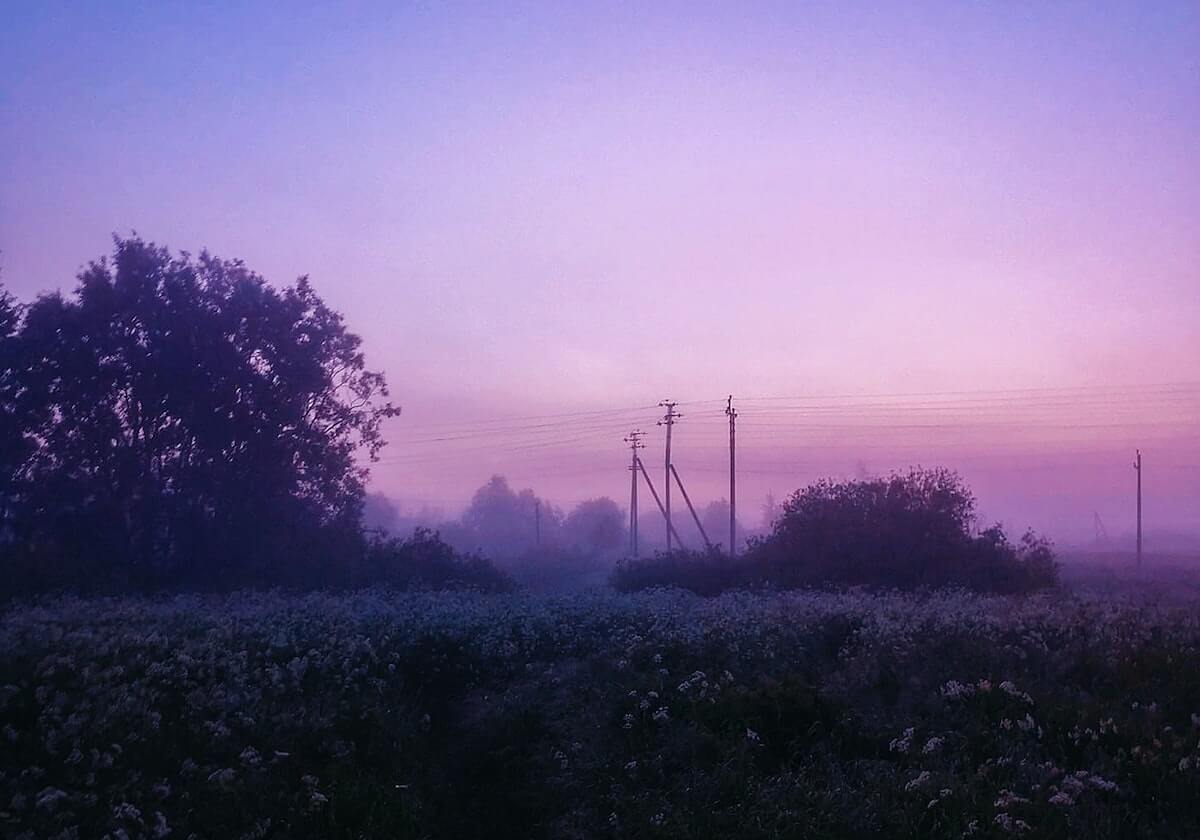 樊振东登陆德甲绝非偶然,名嘴点破关键,体总乒协一路绿灯!